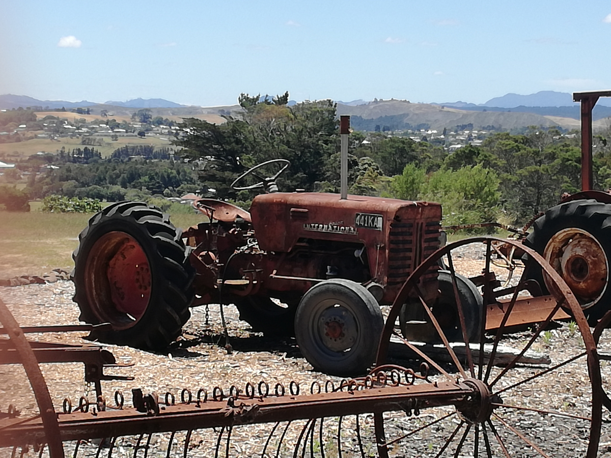 03_02-Dargaville-Museum