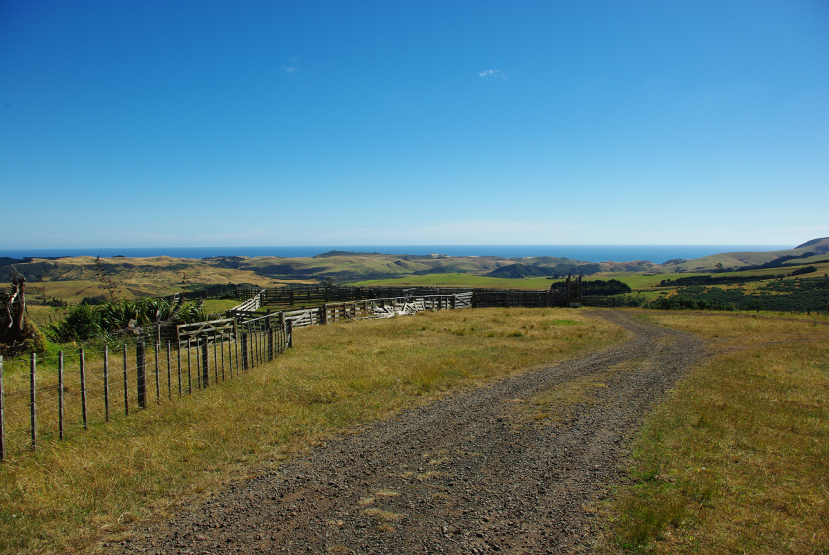 03 03-Zwischen-Daragville-und-Kaihu