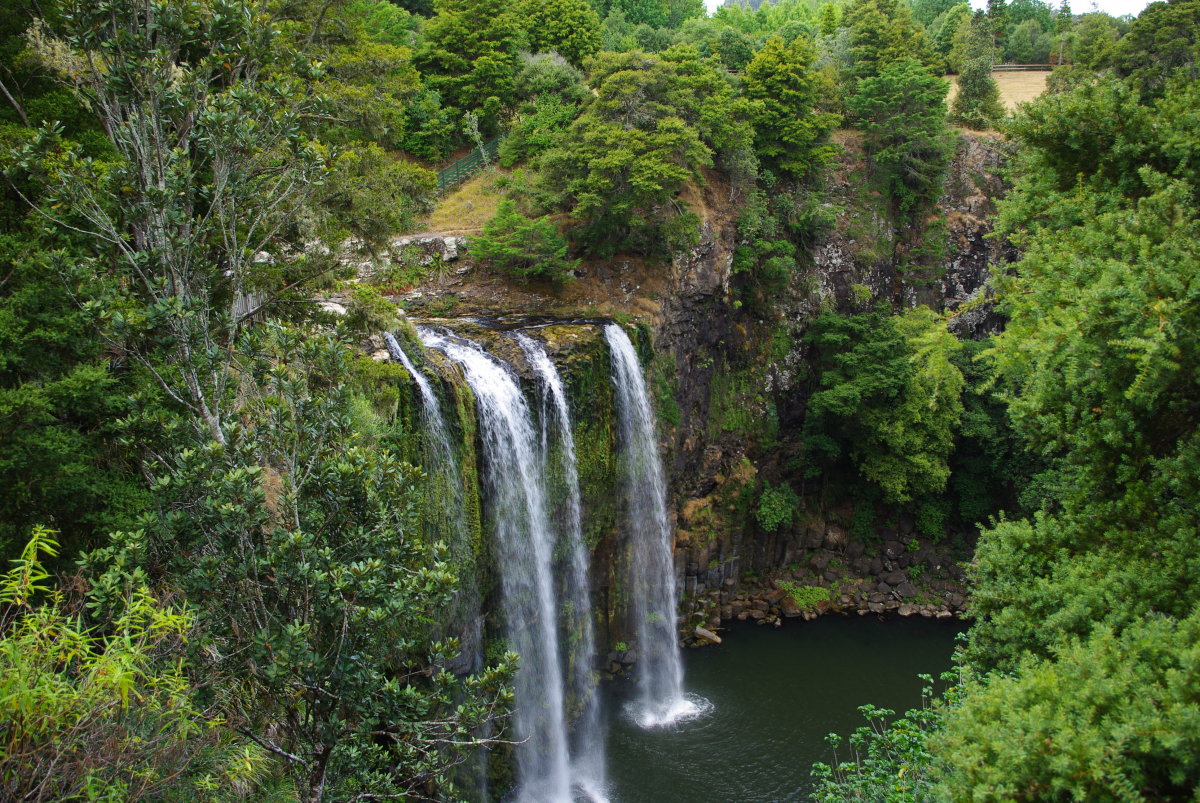04 09-Whangarei-Falls