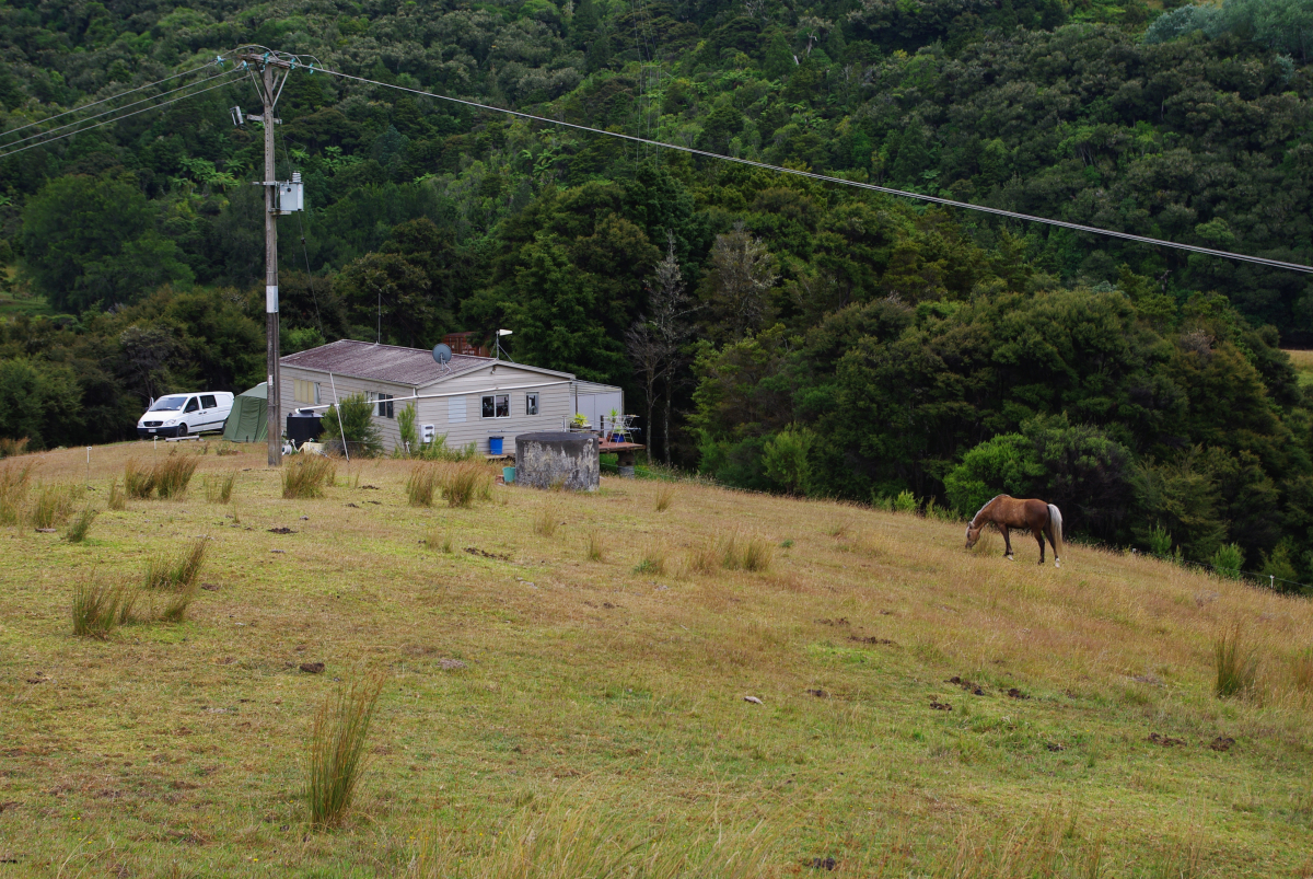 05 12-Wech-Homestead