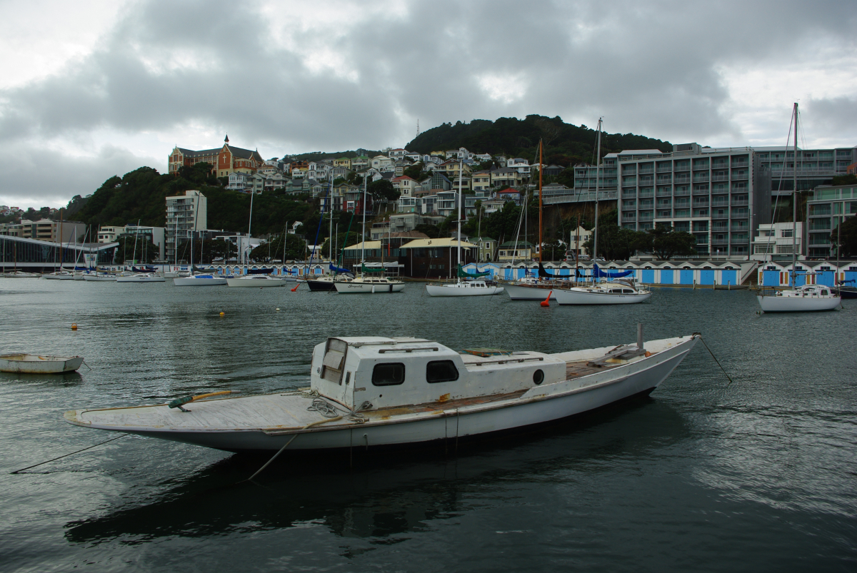 07 03-Wellington-Hafen-und-Mount-Victoria