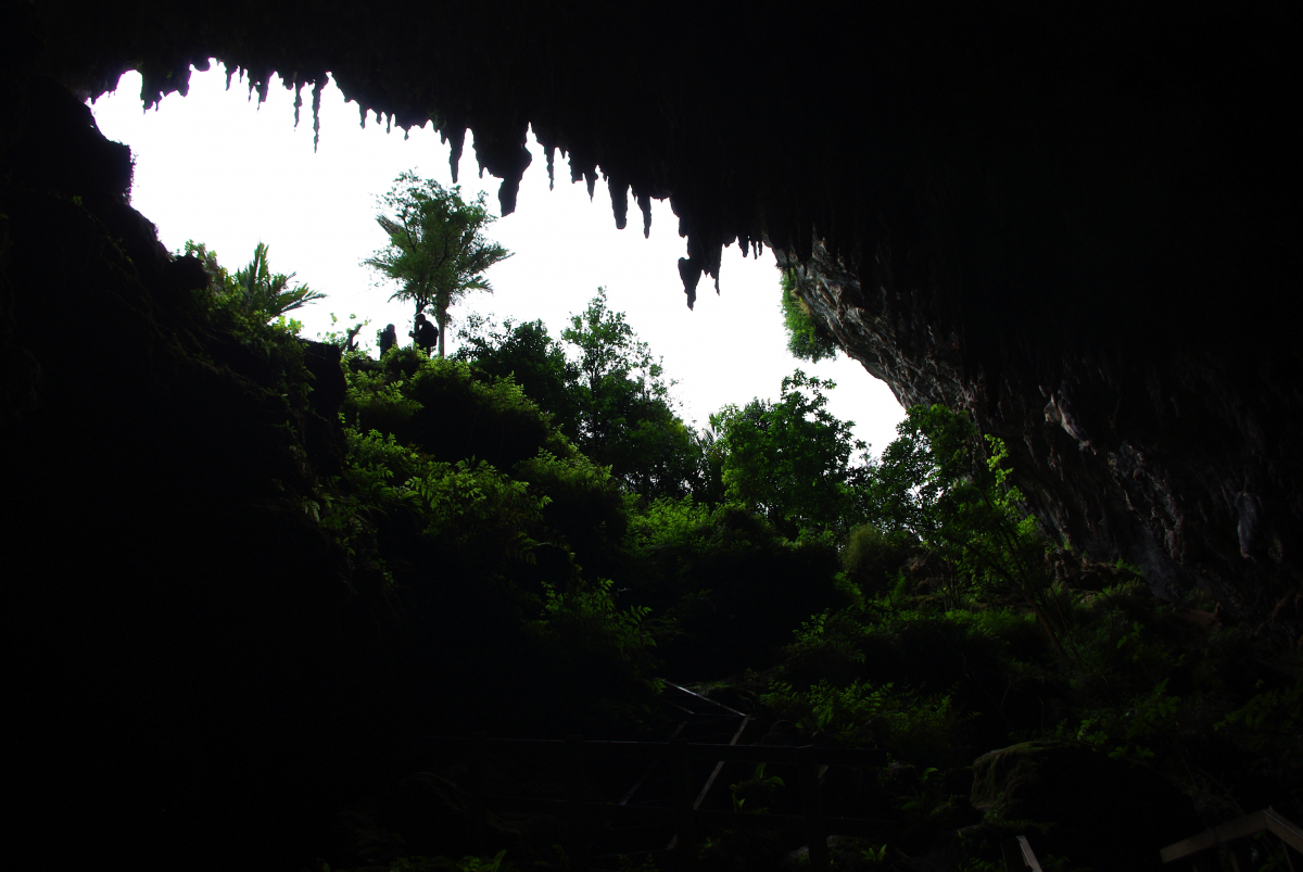 08 05-Rawhiti-Cave-Zum-Licht