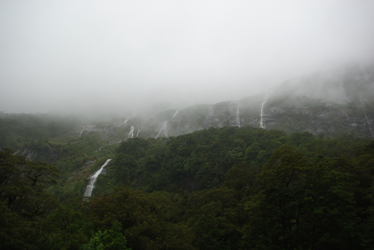 10 04-Milford-Sound-Gehuellt-in-Nebel