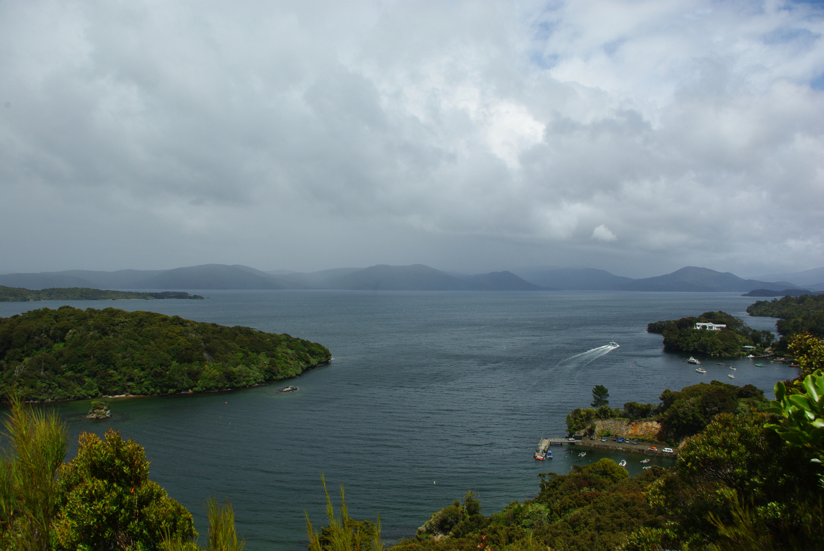 10 08-Blick-auf-Paterson-Inlet