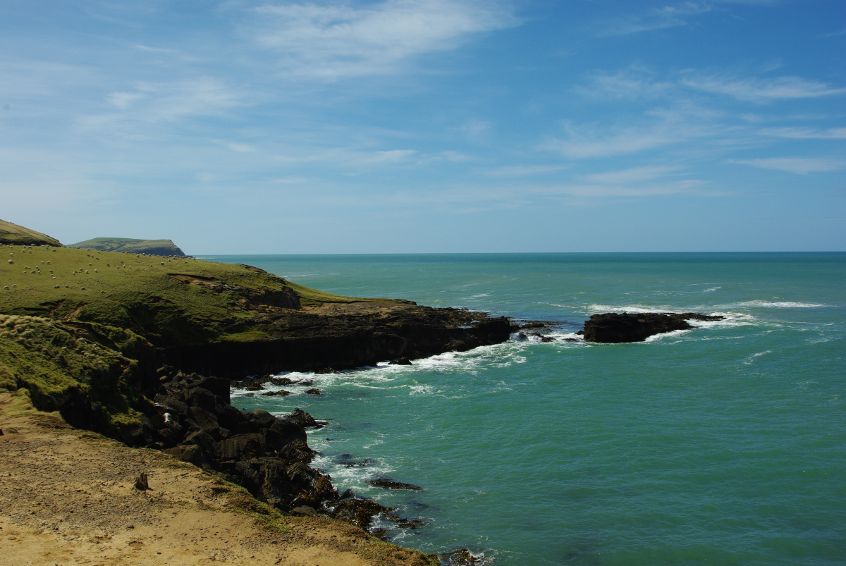 11 03-Suedlichste-Schafweide-der-Suedinsel