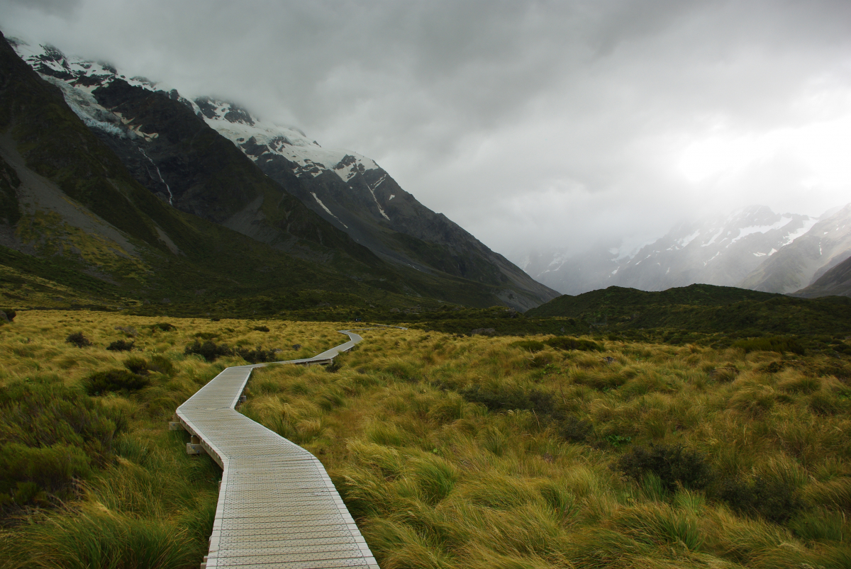 13 04-Hooker-Valley-Track-Sumpf
