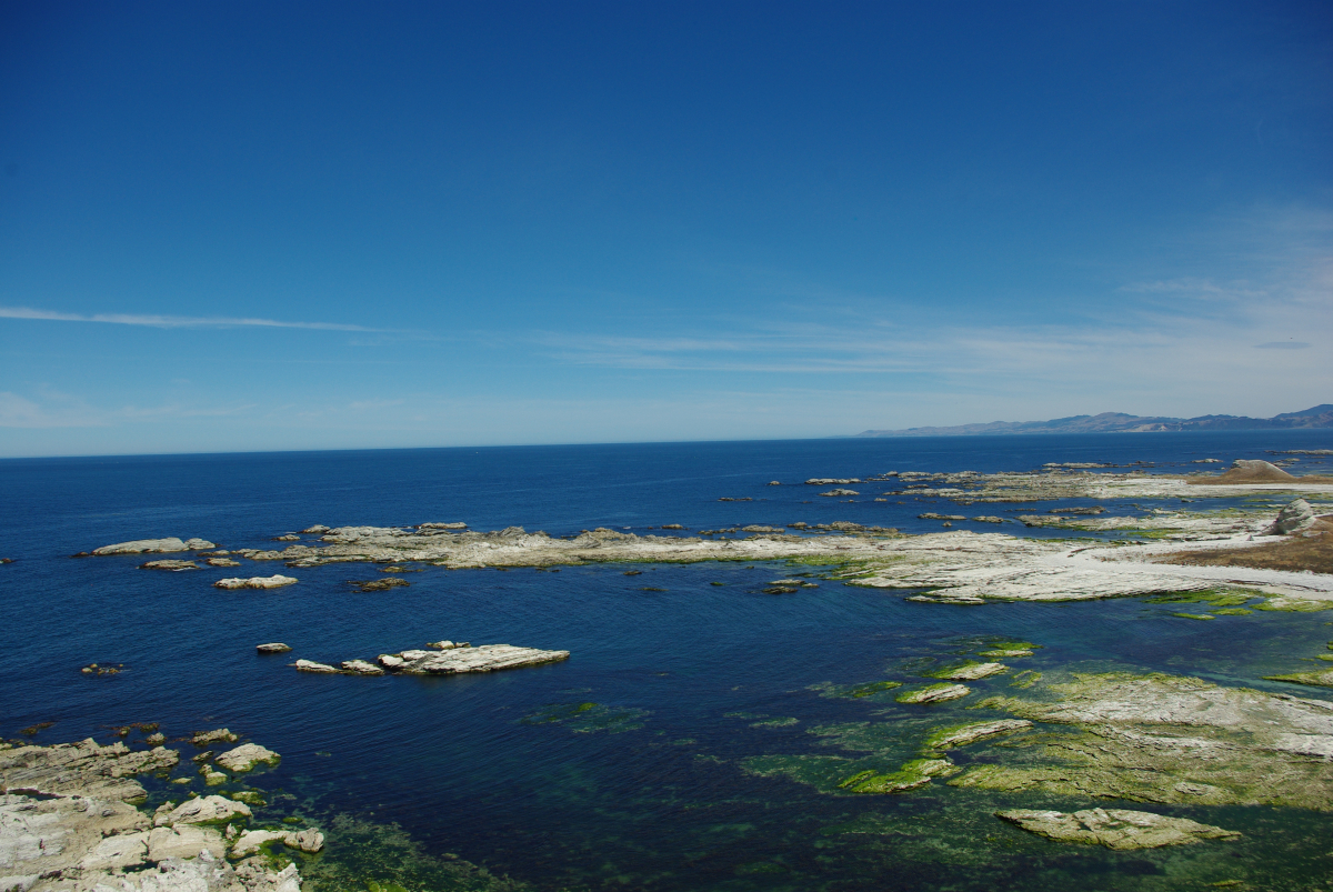 15 01-Kaikoura-Halbinsel-Kueste