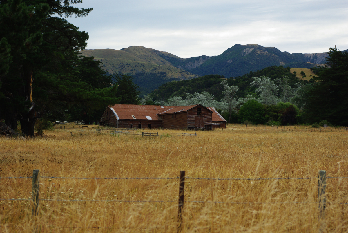 15 04-Kaikoura-Highway-Alte-Farm