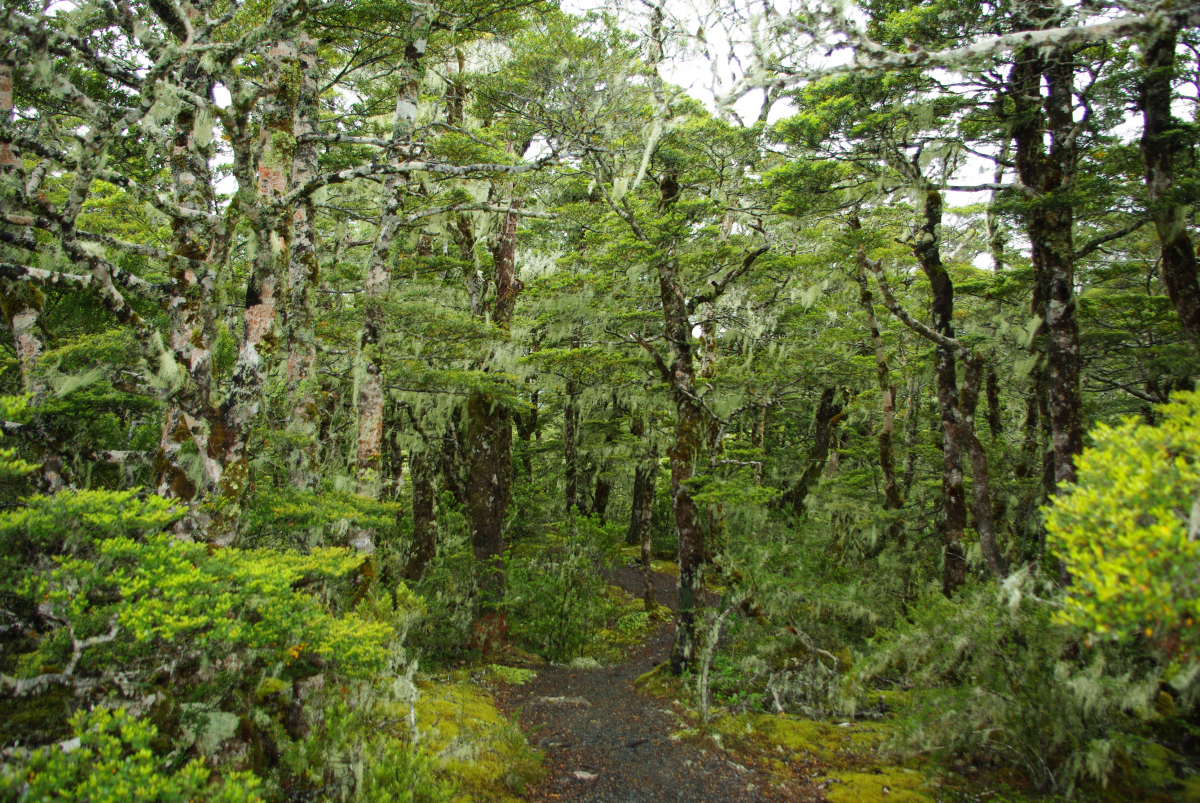 15 11-St.-James-Walkway-02