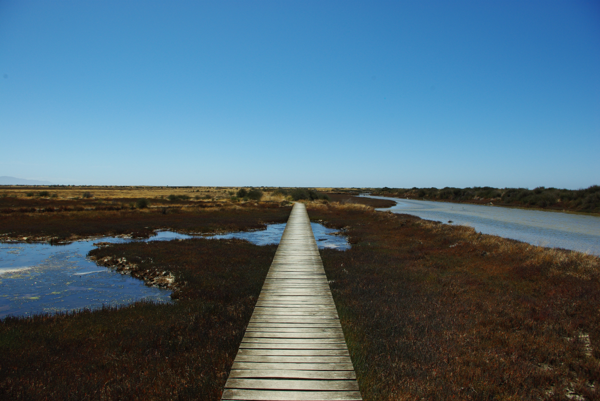 16 03-Blenheim-Wairau-Lagoons-Walk