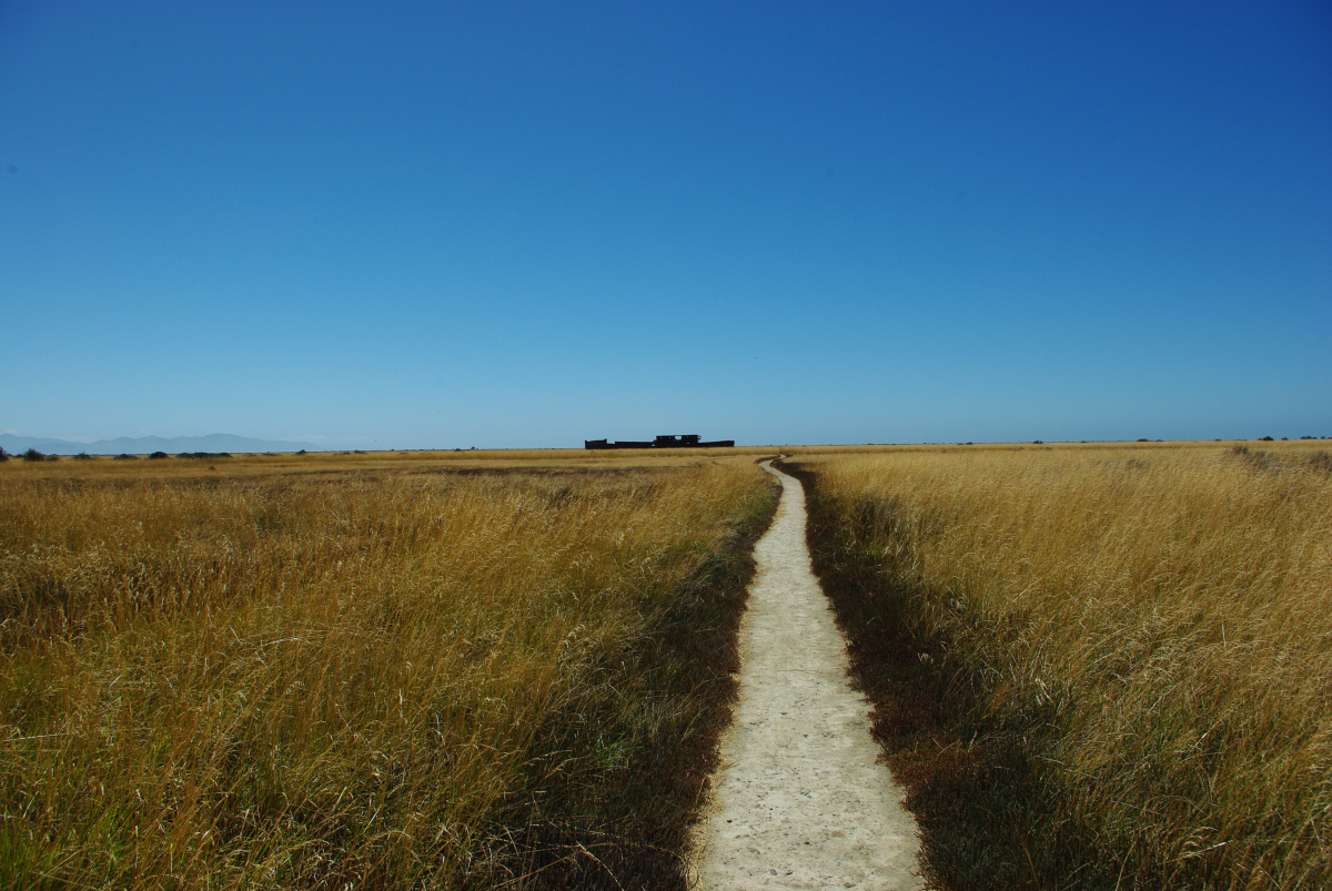 16 04-Blenheim-Wrack-der-Waverly