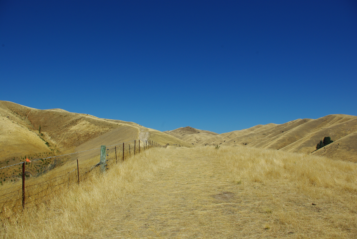 16 06-Mount-Venon-Aufstieg