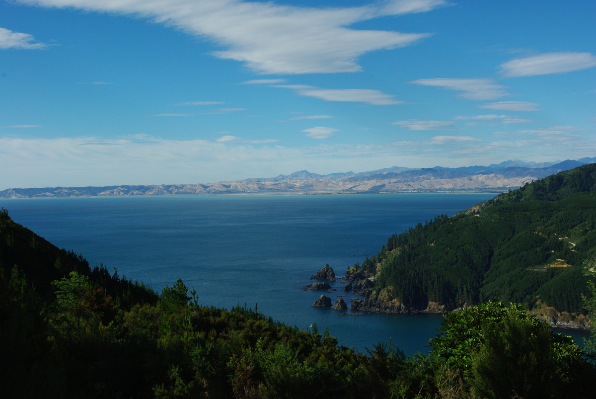 17 01-Viele-Buchten-am-Port-Underwood-Road