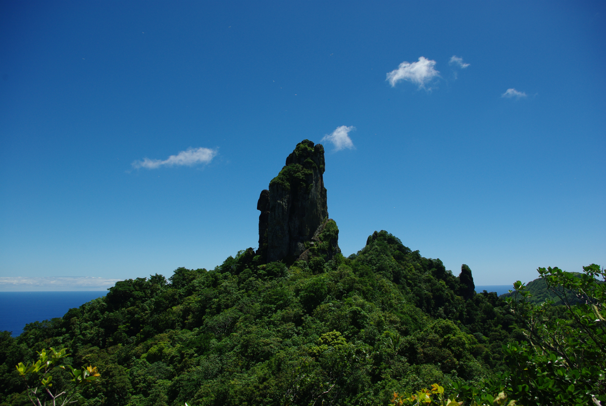 21 03-The-Needle-Die-Nadel