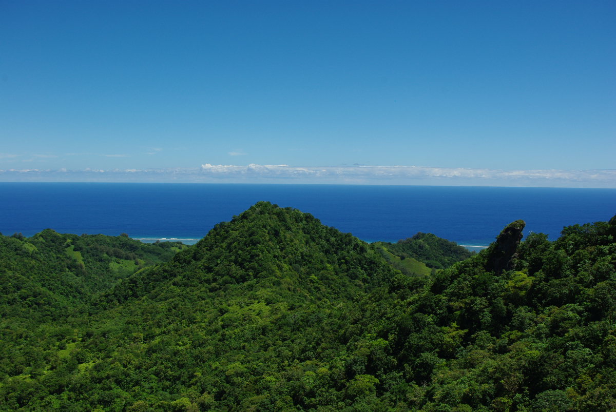 21 05-The-Needle-Blick-nach-Sueden