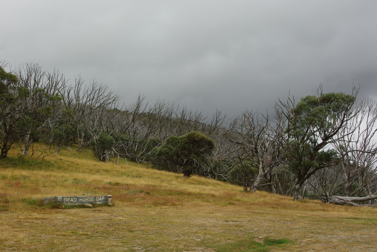 23 08-Dead-Horse-Gap