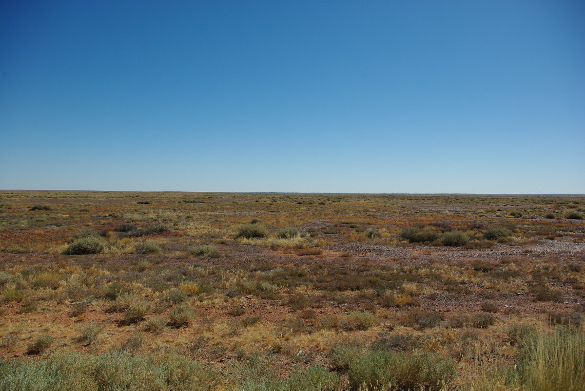 29 03-Die-Outback-Leere