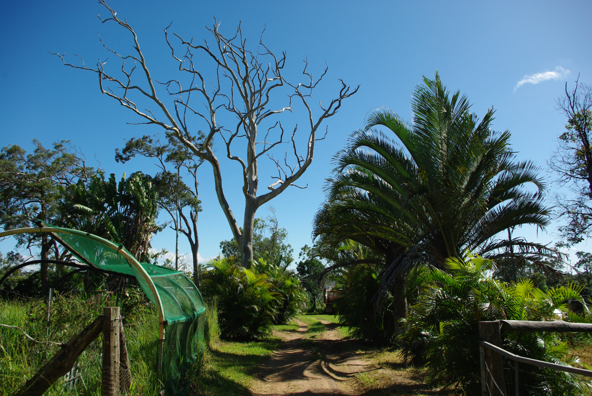 32 04-Braywood-Farm-Zufahrt