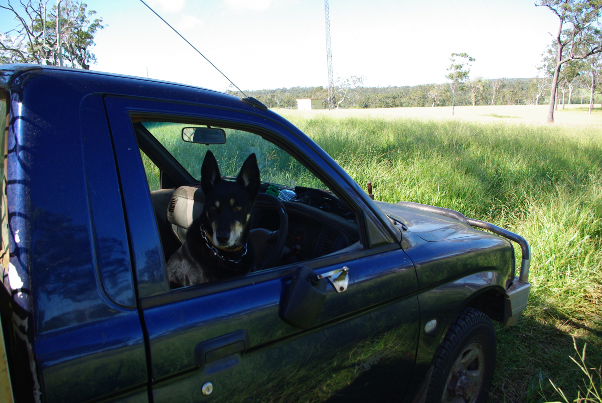 32 08-Dorothie-aka-Dottie