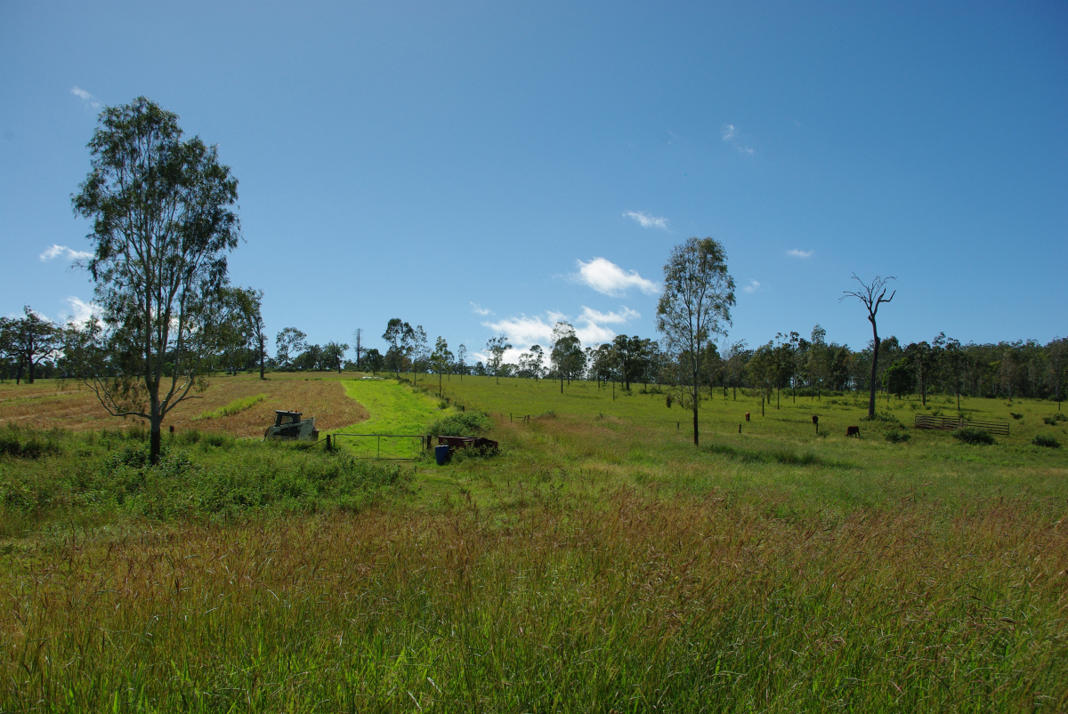 32 10-Wiese-und-Weide