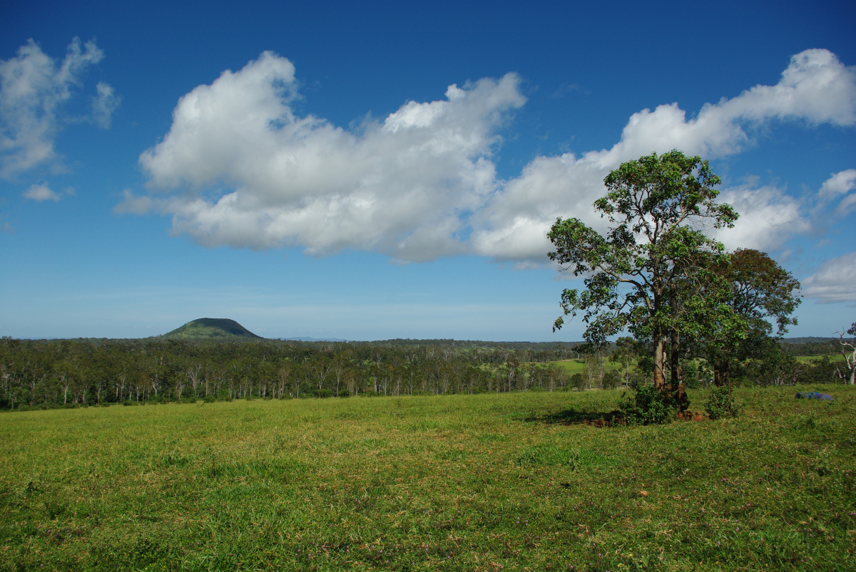 32 12-Mount-Fox-im-Hintergrund-02