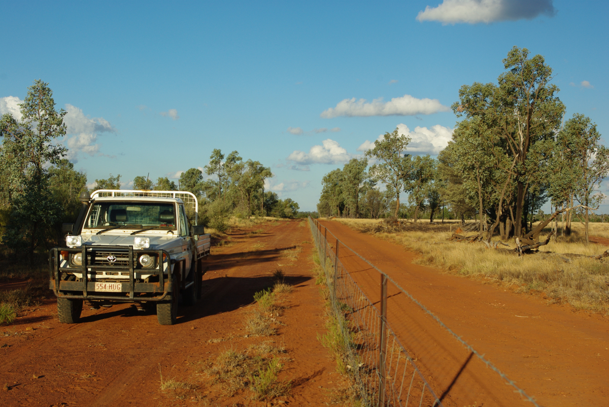 35 12-Farm-Grenzzaun