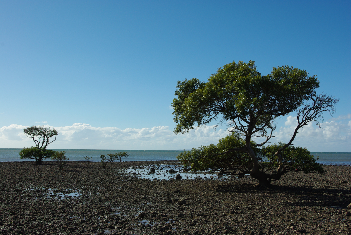 36 11-Beim-Cleveland-Lighthouse-Brisbane