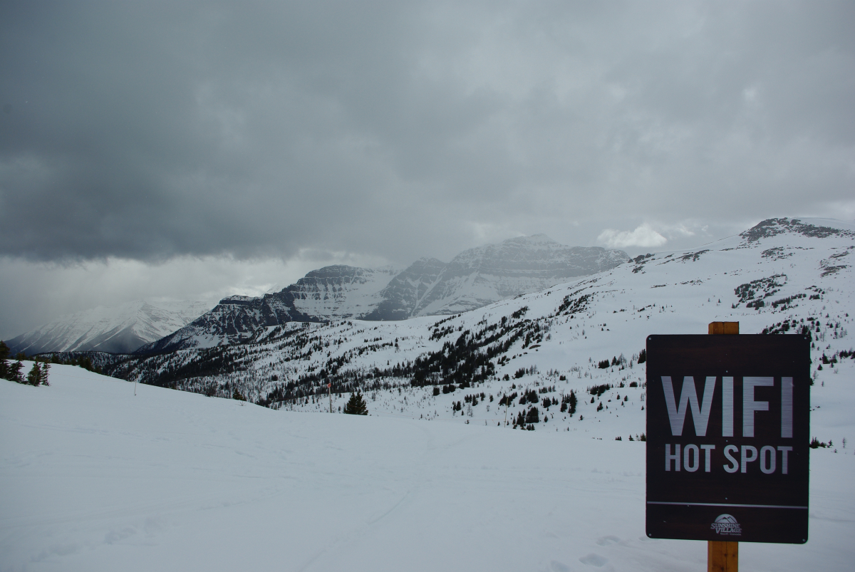 38 17-Immer-verbunden