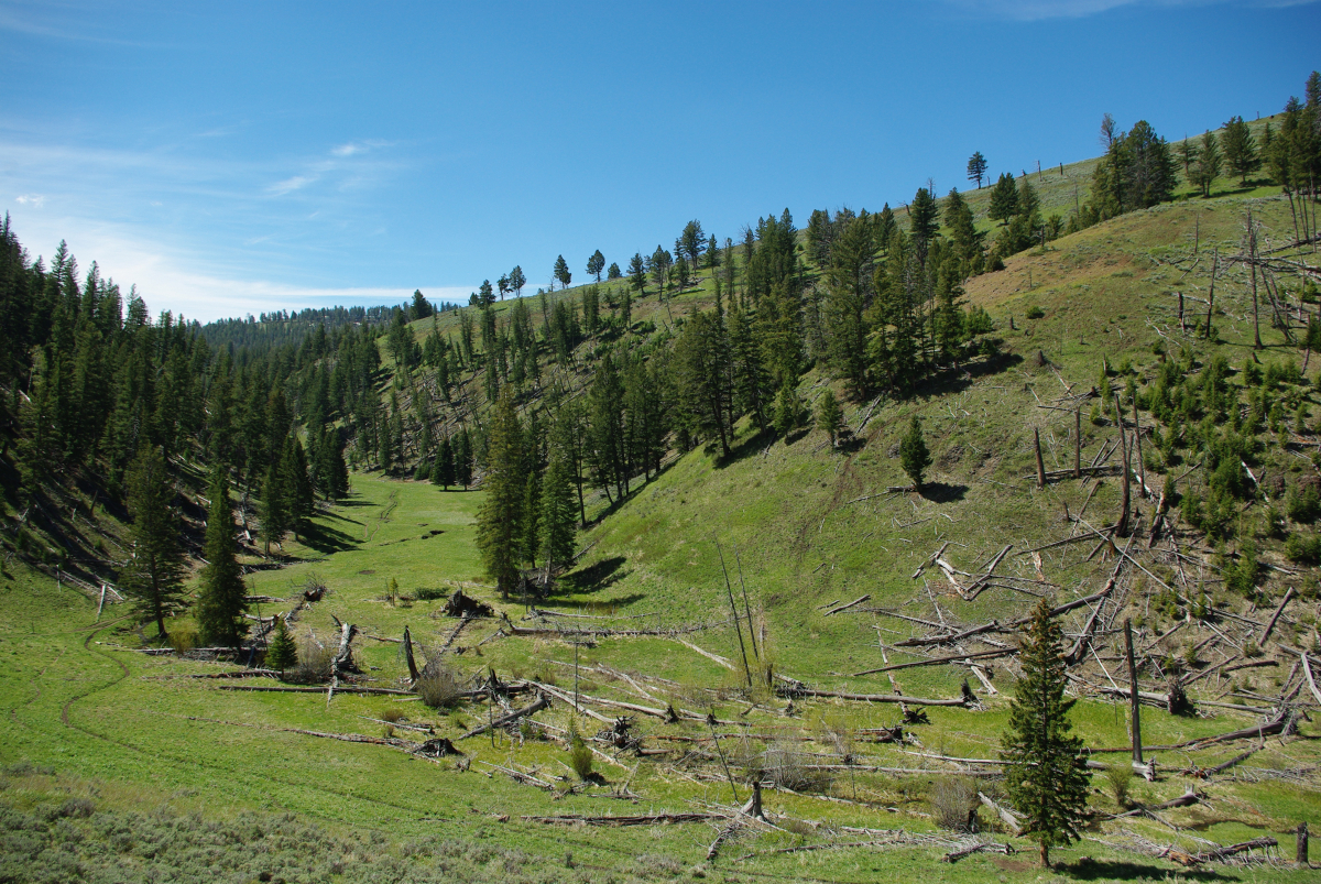 39 02-Lost-Lake-Trail