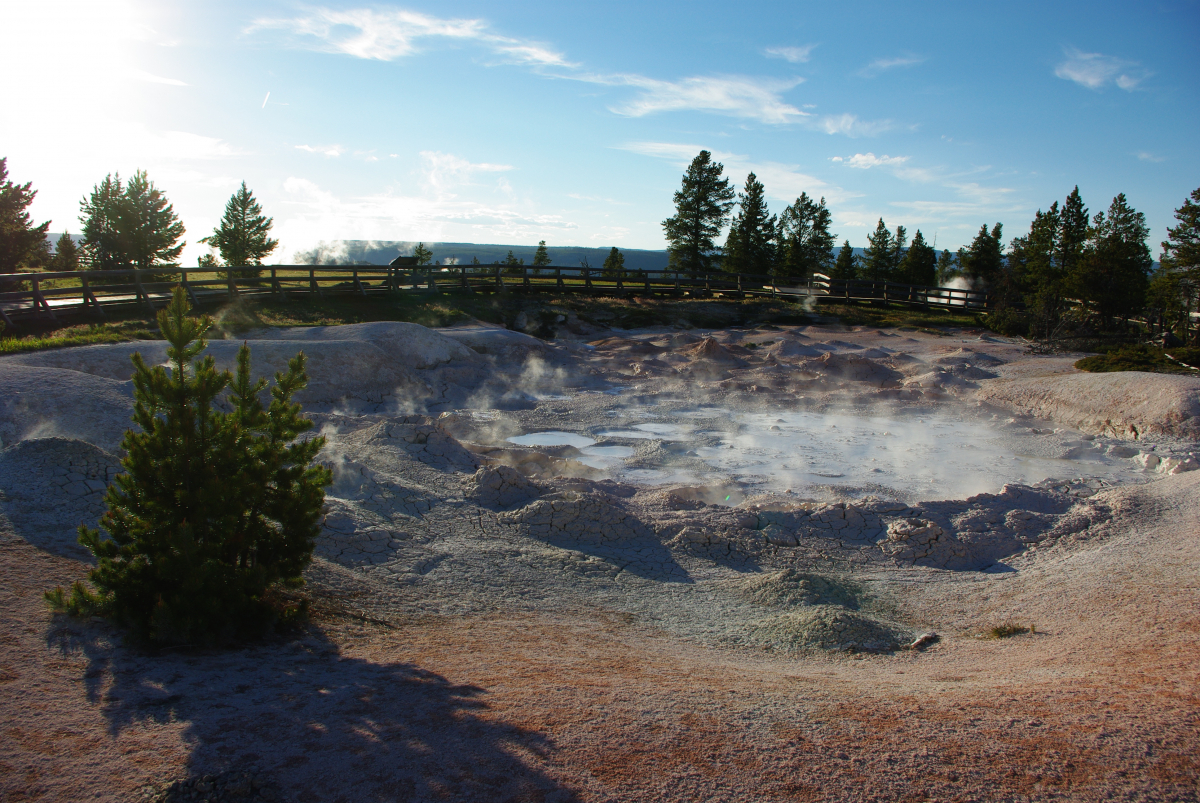 39 17-Blubberschlamm