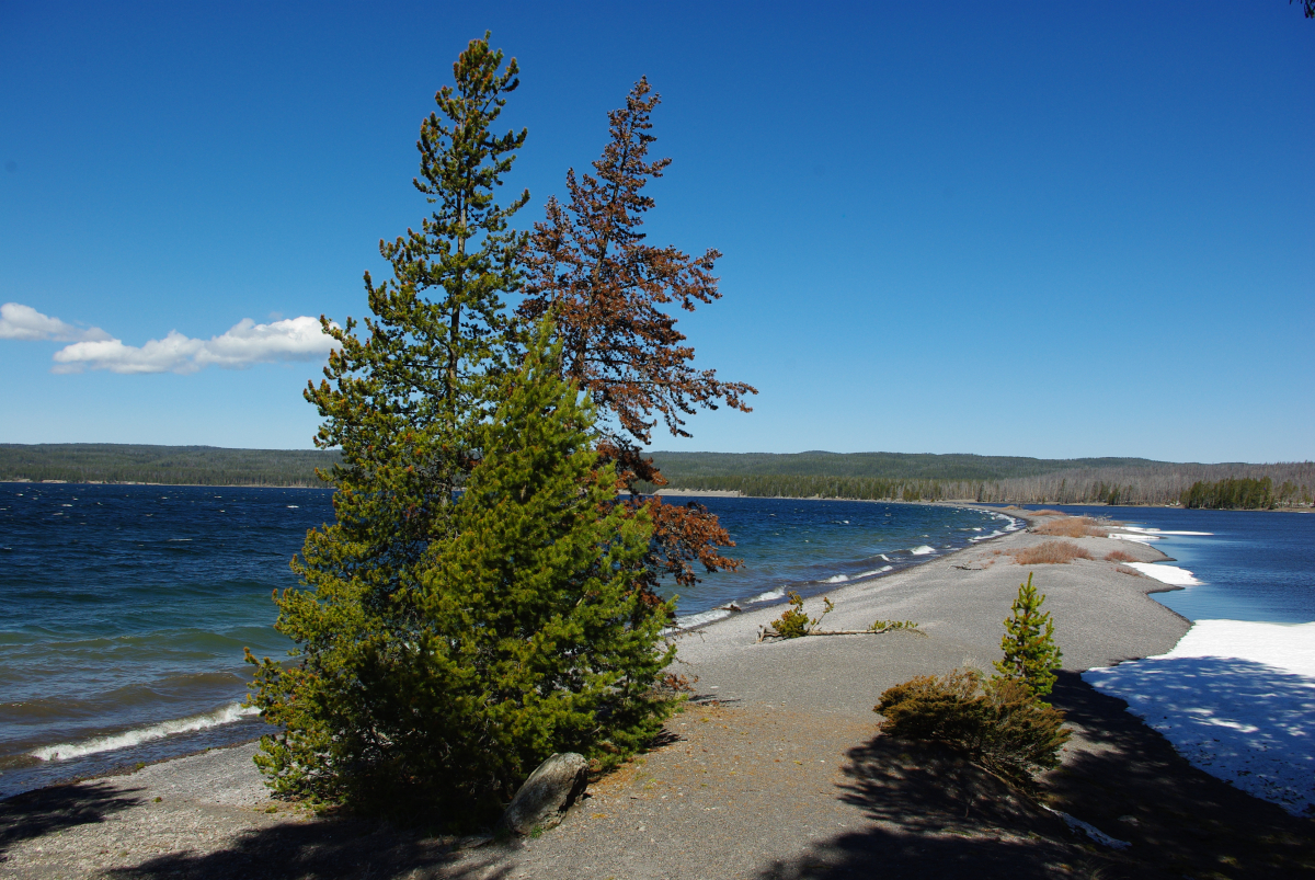 39 20-Lake-Yellowstone
