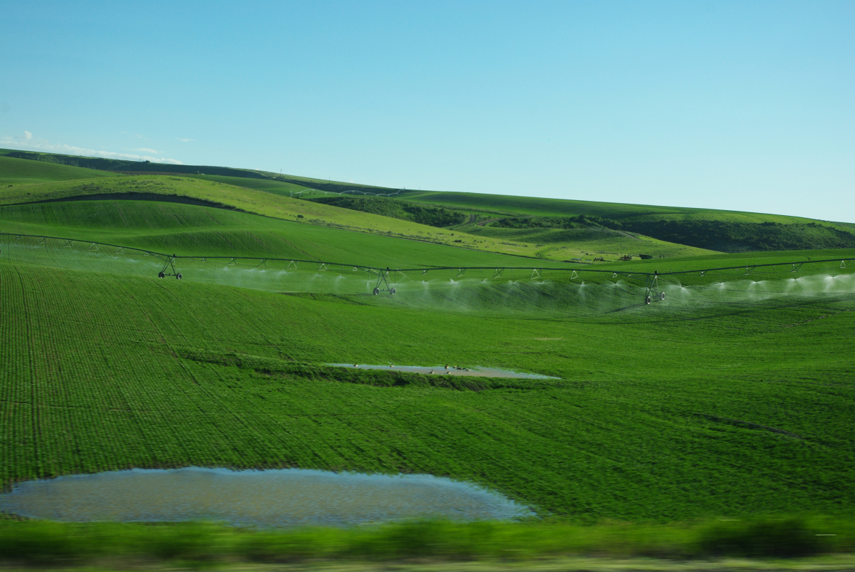 40 01-Bewaesserung-in-Utah