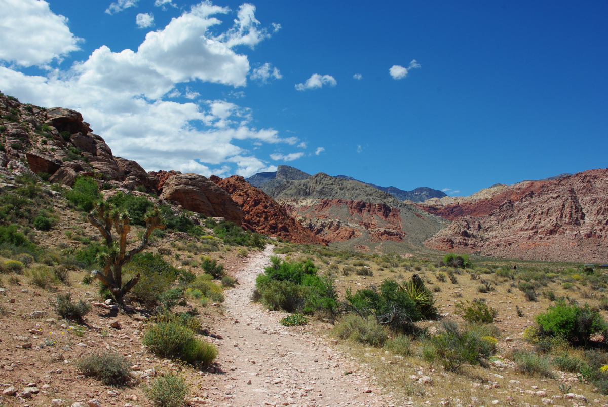 40 24-Red-Rock-Canyon-01