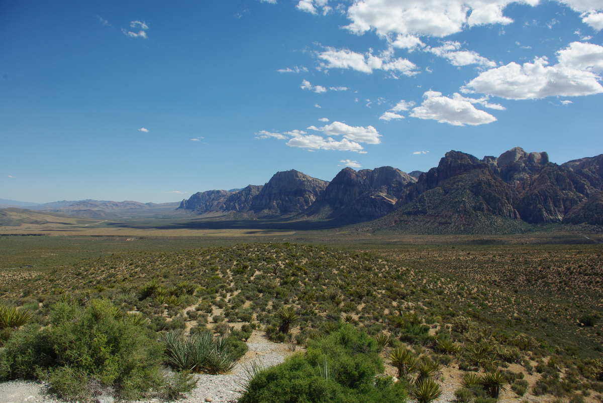 40 25-Red-Rock-Canyon-02