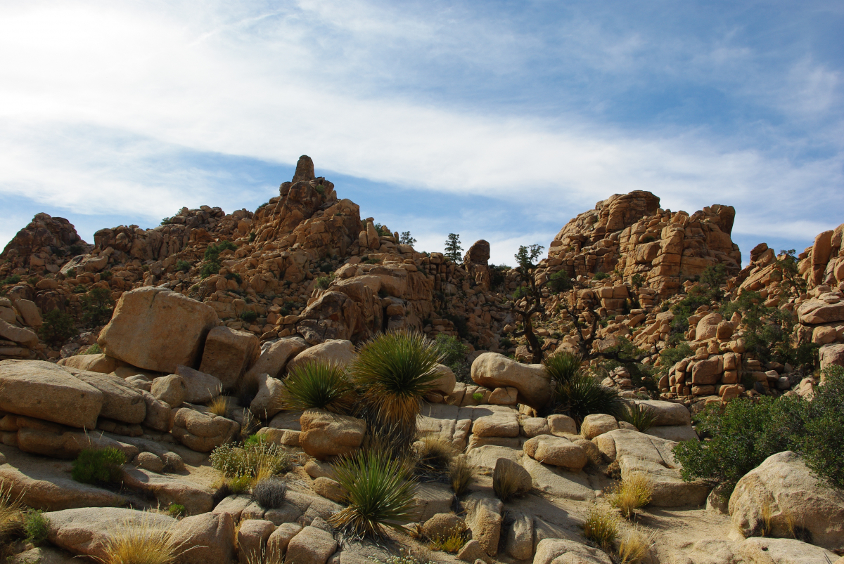 41 06-Joshua-Tree-NatPark-03