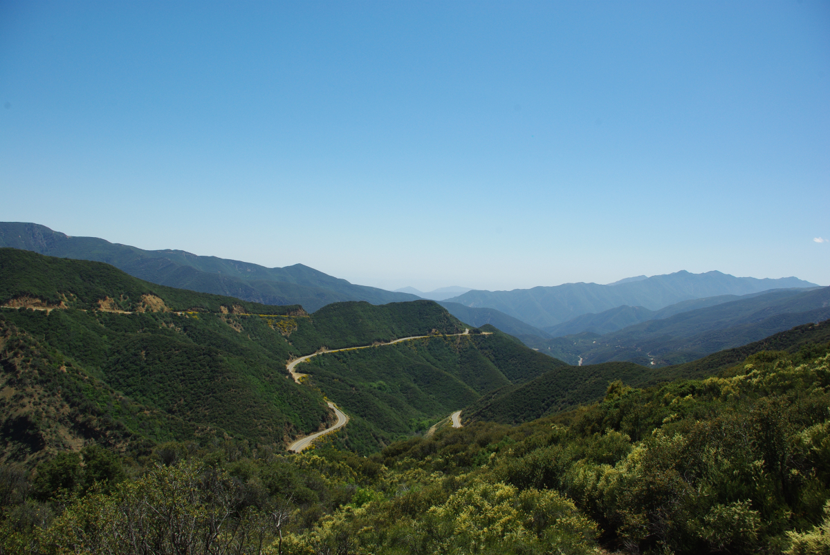 42 04-Los-Padres-NatPark-01