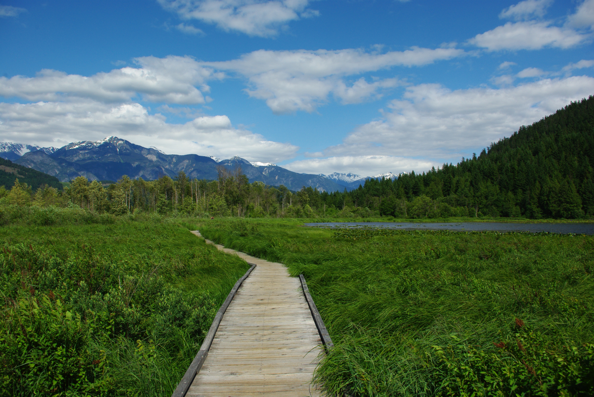 44 12-One-Mile-Lake-02