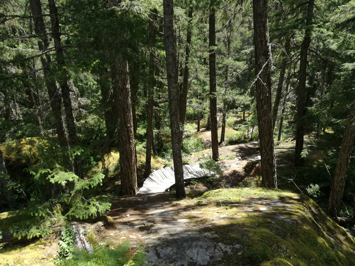 44_13-Trainwreck-Trail