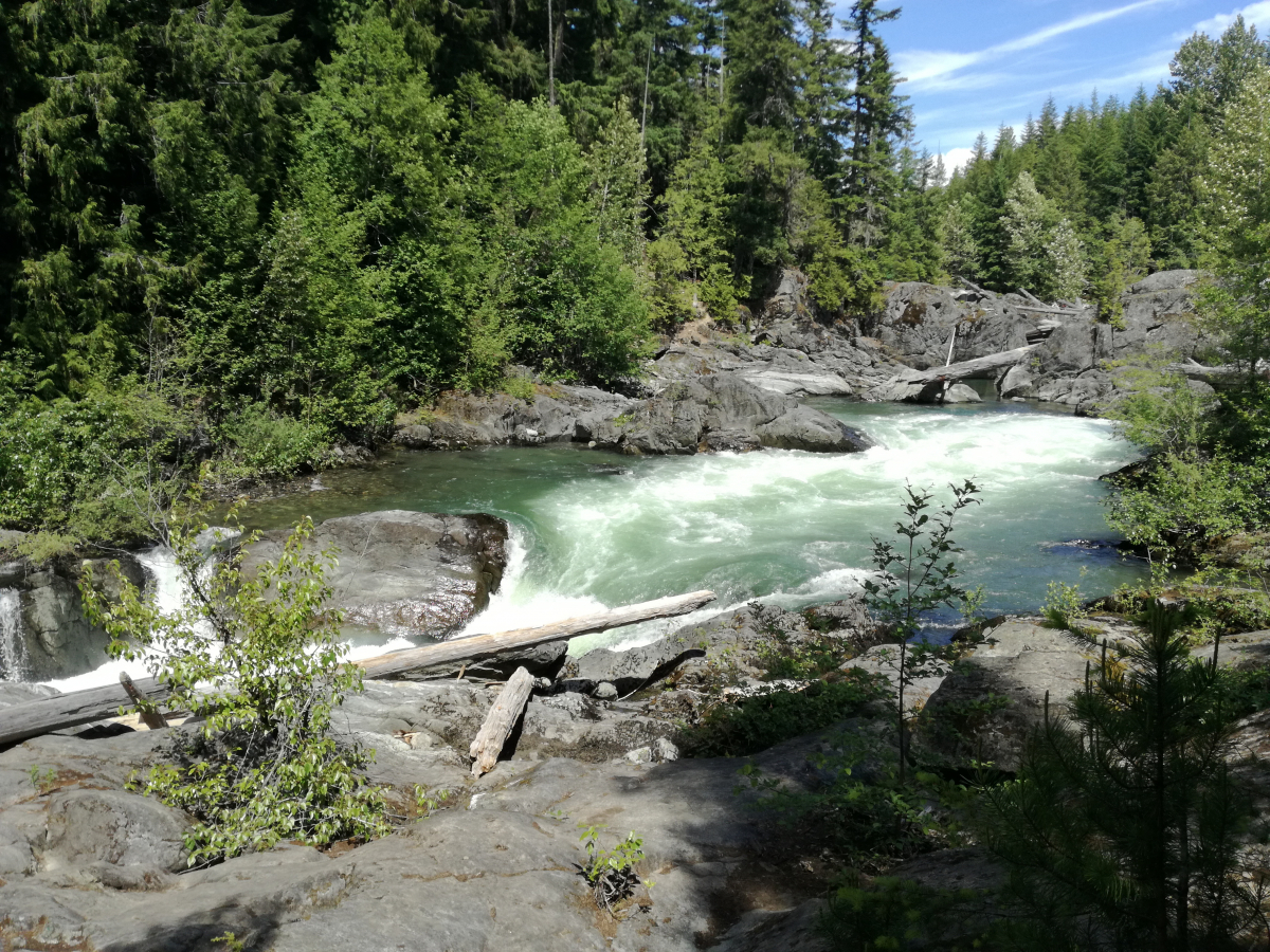 44_15-Trainwreck-Trail-Fluss